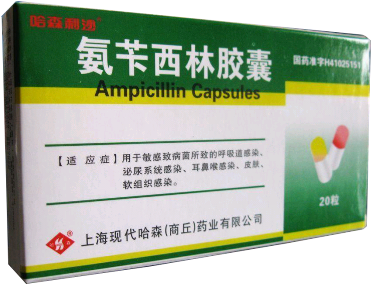 【商丘】氨苄西林胶囊-上海现代哈森(商丘)药业有限公司