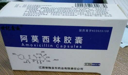 【誉隆亚东】阿莫西林胶囊-辽源誉隆亚东药业有限责任公司