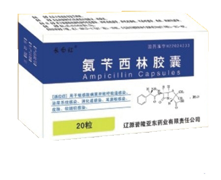 【誉隆亚东】氨苄西林胶囊-辽源誉隆亚东药业有限责任公司